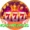 bingo Live Plus