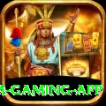 IPL Betting Pakistan Premium Gaming App